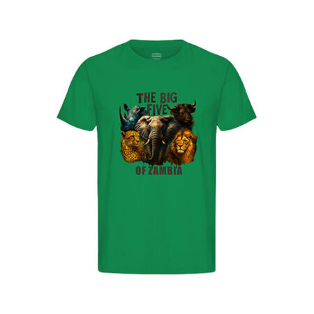 The Big Five Of Zambia